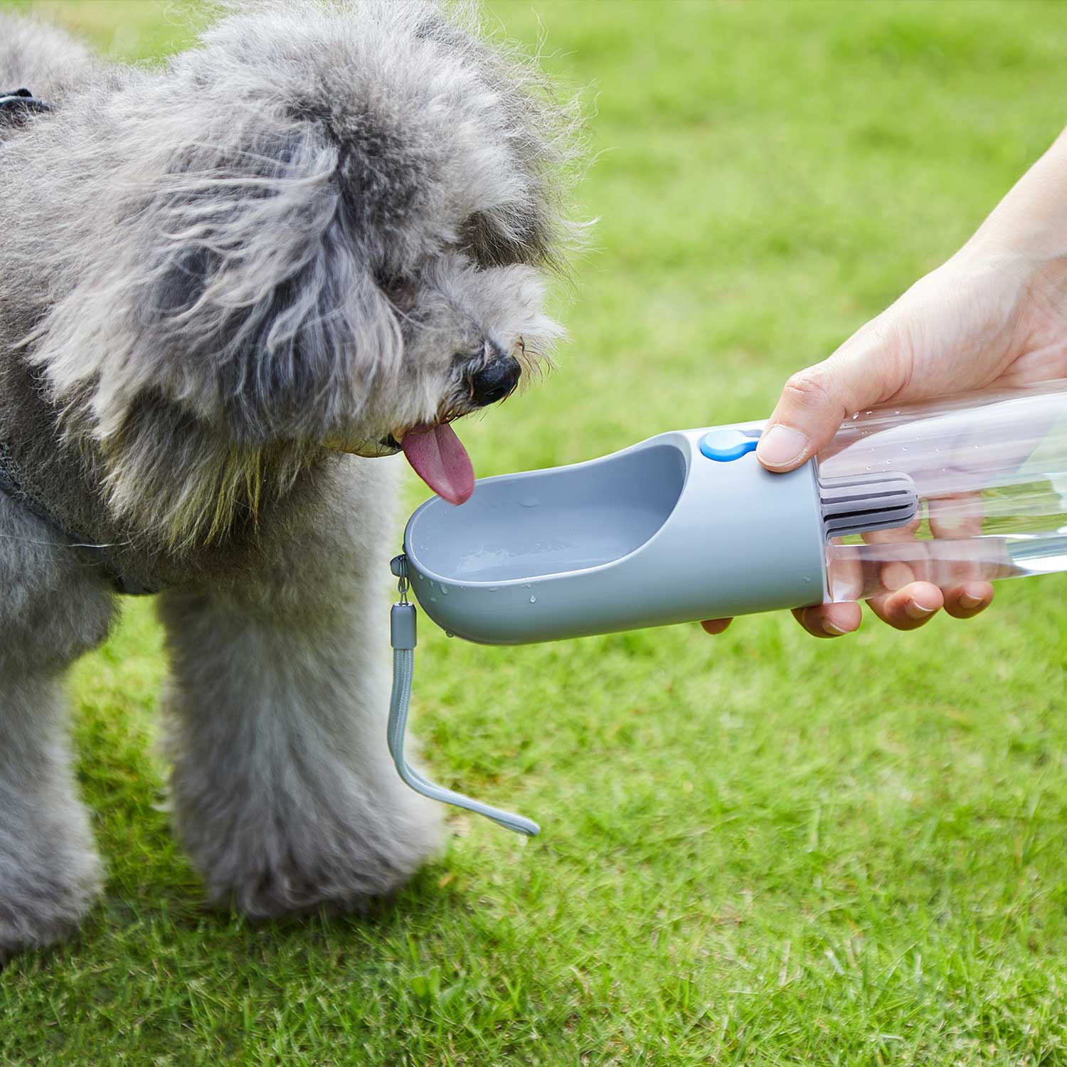 Portable Pet Filtered Water Bottle