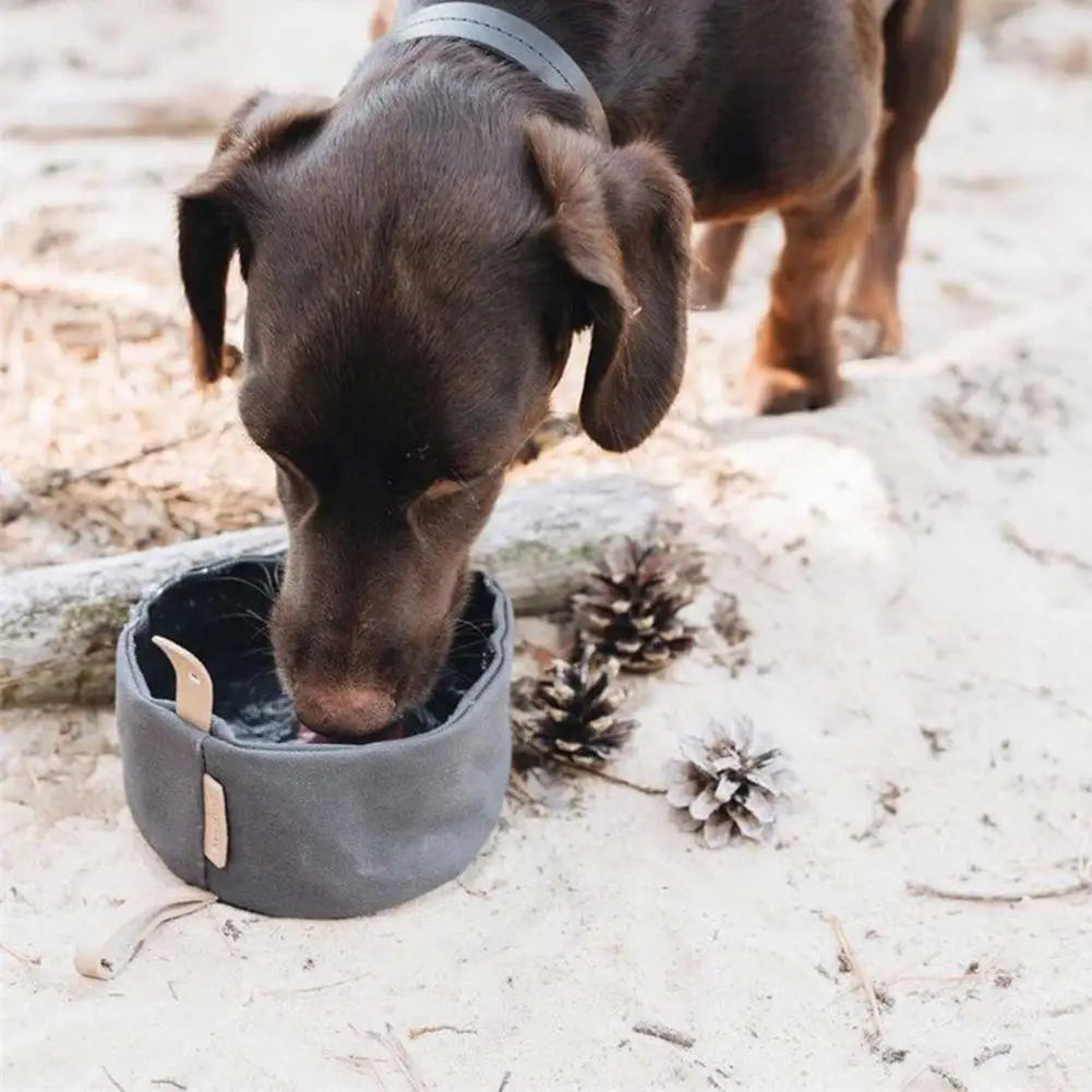 Folding Waterproof Canvas Pet Bowl