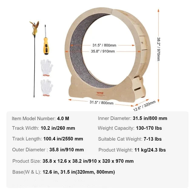 Cat Running Wheel